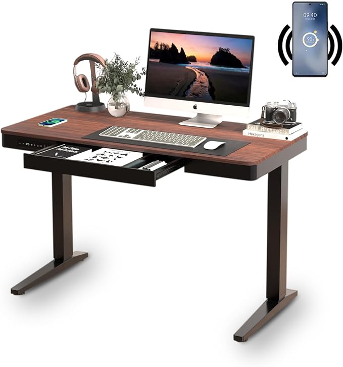 Standing Desk with Drawer and Wireless Charging,48x24 inch Dual Motor Electric Standing Desk,Stand Up Desk with Whole-Piece Desktop(Black Oval Legs+Rustic Brown Top)