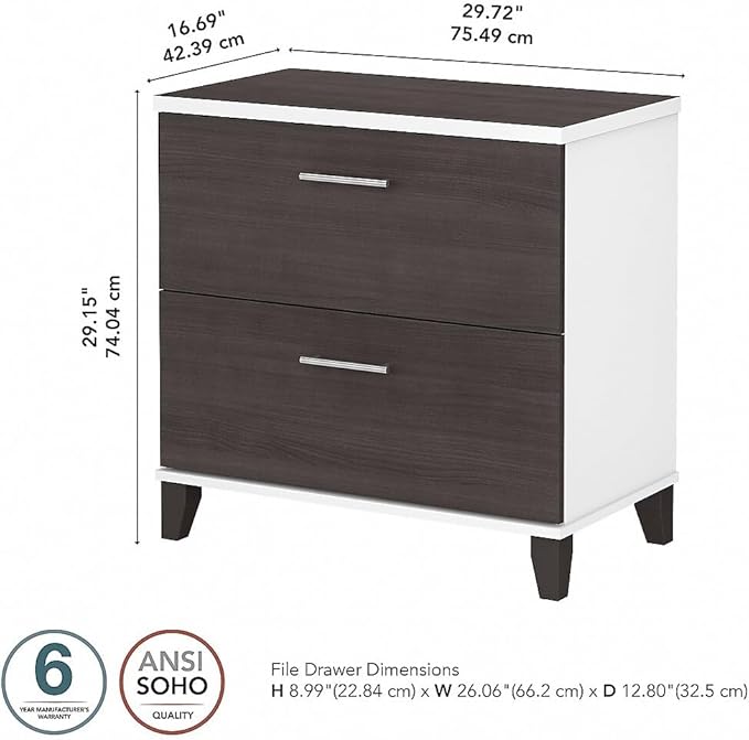 Bush Furniture Somerset 2 Drawer Lateral File Cabinet | Letter, Legal, and A4-size Document Storage for Home Office, 30W x 17D x 29H, White and Storm