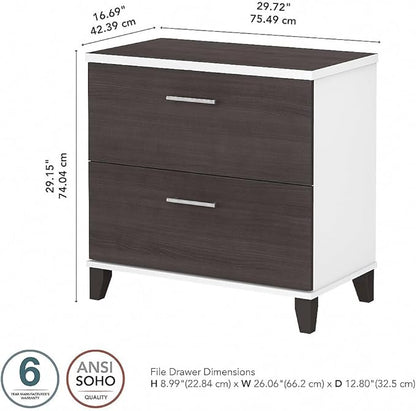 Bush Furniture Somerset 2 Drawer Lateral File Cabinet | Letter, Legal, and A4-size Document Storage for Home Office, 30W x 17D x 29H, White and Storm