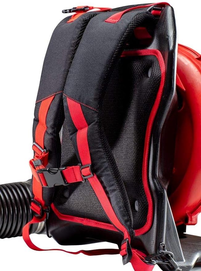 CRAFTSMAN Gas Powered Backpack Leaf Blower, Lightweight Backpack Blower, 220MPH, 51cc, 2-Cycle (CMXGAAMR51BP)