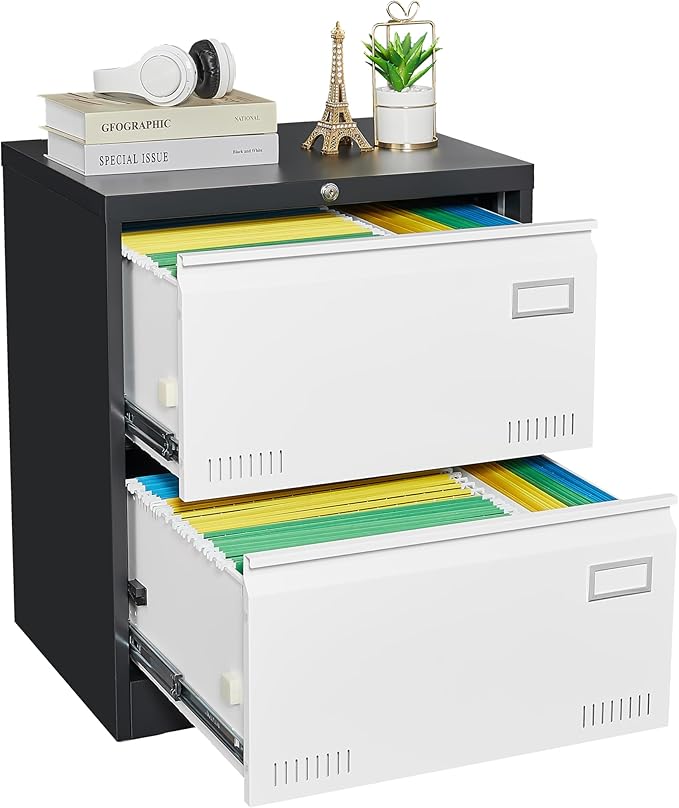 2 Drawer Metal Lateral Lock and Card Holder,Office Vertical Files Storage Cabinets w/Heavy 3 Section Slide Rail & Breathable Holes,for Legal/Letter/A4,Black+White