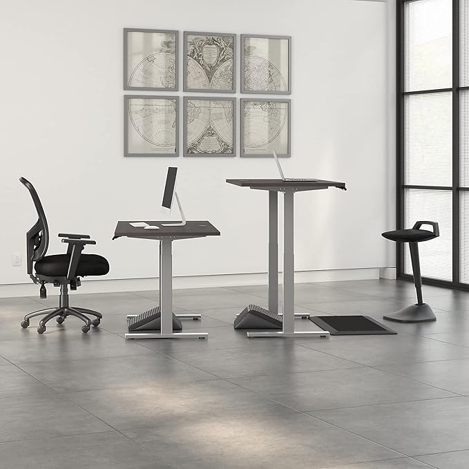 60W x 30D Height Adjustable Standing Desk