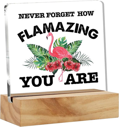 Motivational Flamingo Acrylic Desk Sign Decoration Plaque Never Forget How Flamazing You are Desk Sign Keepsake Home Office Room Desk Decor