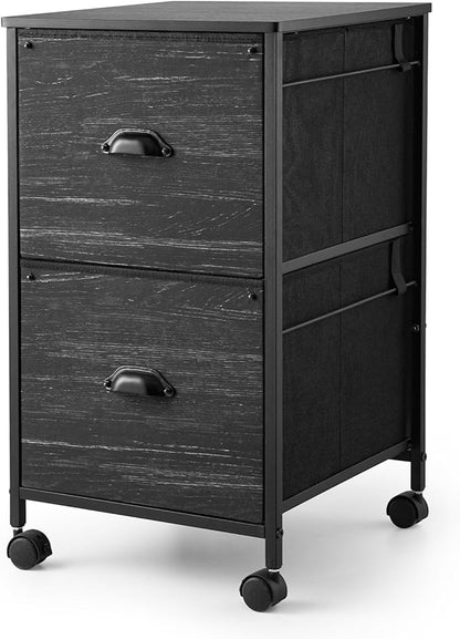 TOPSKY Mobile File Cabinet, Fabric Vertical File Cabinet for Letter Size (Black, 2 Drawer)
