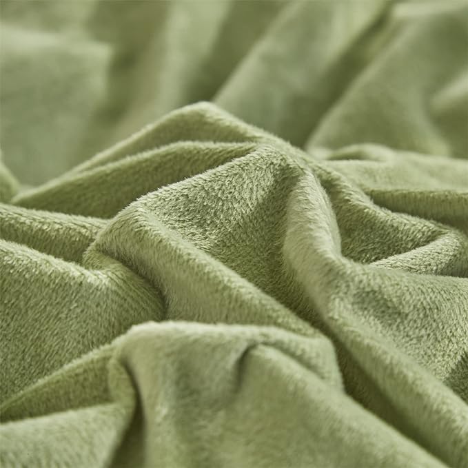 Sage Velvet Comforter Sets Solid Sage Green Flannel Bedding Set 3 Pieces Comforter Set Sage Green Velvet Blanket Warm Winter Bedding Set Women Sage Green Velvet Bed Comforter Set Full Size