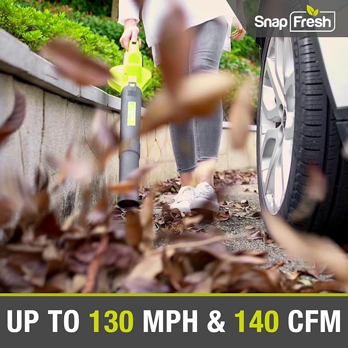 SnapFresh Leaf Blower, 20V Cordless Leaf Blower with 2.0Ah Battery & Fast Charger, 2 Speed Mode, Lightweight Electric Leaf Blower for Lawn Care, Leaf Blower for Patio Yard Sidewalk…