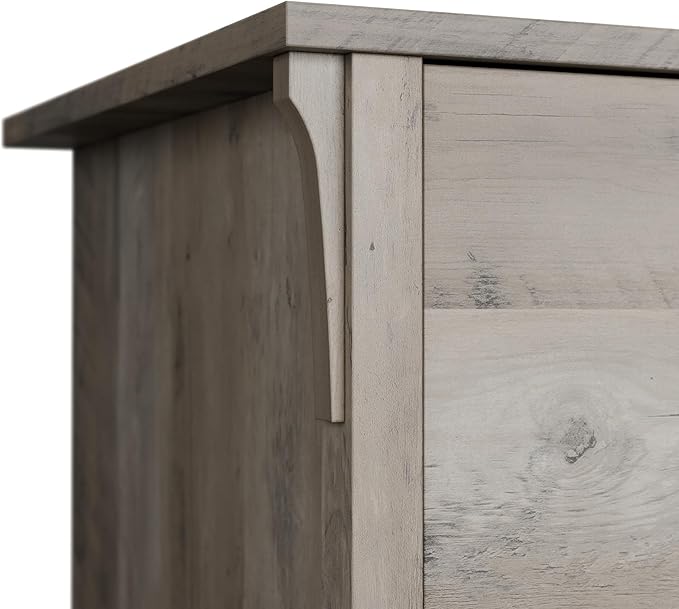 Bush Furniture Salinas 2 Drawer Lateral File Cabinet in Driftwood Gray