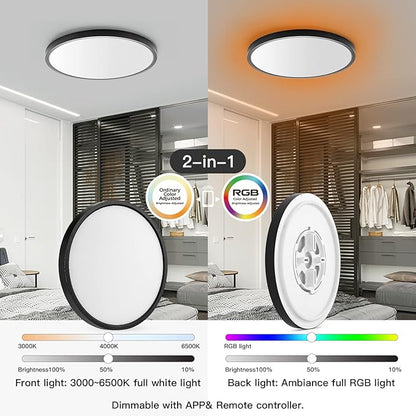 TALOYA 2 Pack Black Smart Ceiling Light Flush Mount LED WiFi, Compatible with Alexa Google Home, Dimmable Low Profile Ambient Light Fixture for Bedroom Living Room,12 Inch 24W