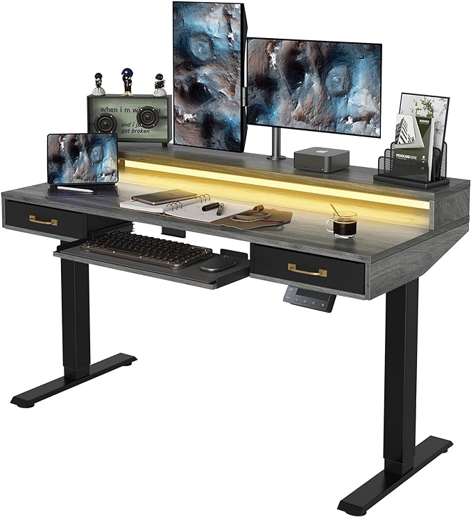 FEZIBO 55 x 25 Inch Height Adjustable Electric Standing Desk with Double Drawers&Keyboard Tray, Stand Up Desk with LED Strips, Sit Stand Desk with Monitor Stand, Rustic Grey