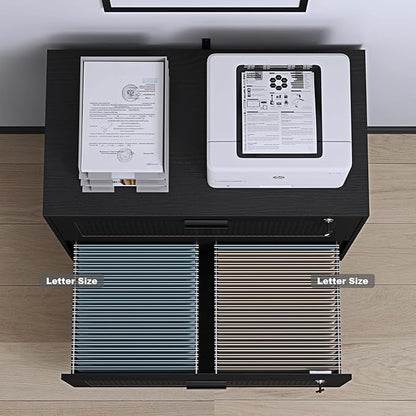 2 Drawer File Cabinet, Lateral File Cabinet with Lock, Rattan Wood Filing Organization Cabinet for Home Office, Black