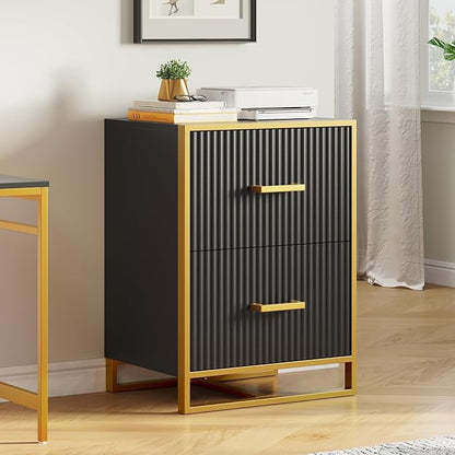 YITAHOME 2 Drawer File Cabinet, Lateral Filing Cabinet for Home Office, Black and Gold