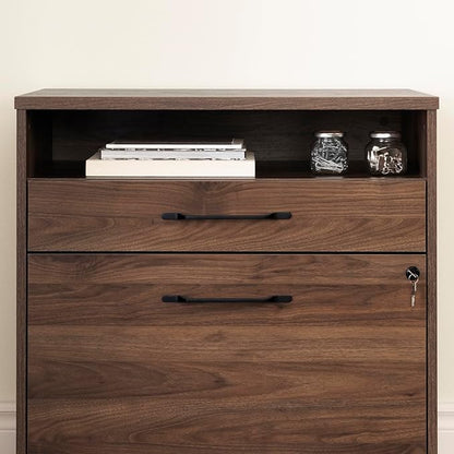 South Shore Helsy 2-Drawer File Cabinet, Lateral, Natural Walnut
