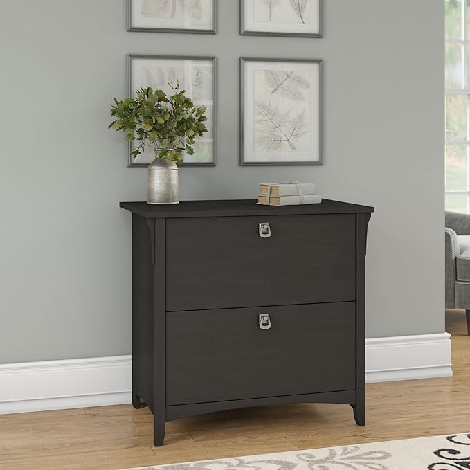 Bush Furniture Salinas 2 Drawer Lateral File Cabinet | Home Office Storage for Letter, Legal, and A4-size Documents, Vintage Black