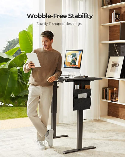Standing Desk Adjustable Height, Electric Standing Desk with Starage Bag, Stand up Desk for Home Office Computer Desk Memory Preset with Headphone Hook, 48x24 Inch, Black