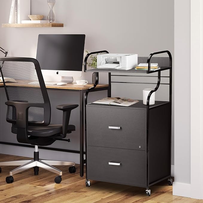 Vertical File Cabinet, 2 Drawer Mobile Filing Cabinet with 1 Bookshelf, Printer Stand with Open Storage Shelves Fits A4/Letter/Legal Size File Cabinets for Home Office Organizer, Black