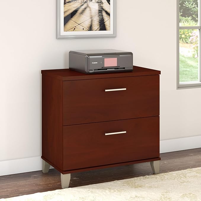 Bush Furniture Somerset 2 Drawer Lateral File Cabinet | Letter, Legal, and A4-size Document Storage for Home Office, 30W x 17D x 29H, Hansen Cherry