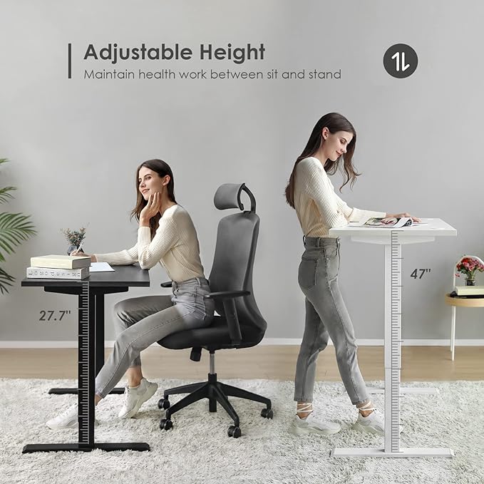 Sunon Sit Laptop Computer Writing Workstations with 3 Pre-Set and USB Port 48" for Home Office Smart Advanced Standing Desk, Grey