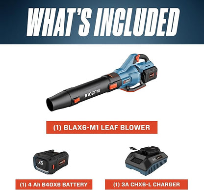 SENIX X6 60 Volt Max* Handheld Cordless Leaf Blower, Up to 810 CFM and 170 MPH, Variable Speed, Cruise Control, Lightweight, includes 4.0 Ah Battery and 3 Amp Charger (BLAX6-M1)