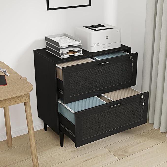 2 Drawer File Cabinet, Lateral File Cabinet with Lock, Rattan Wood Filing Organization Cabinet for Home Office, Black