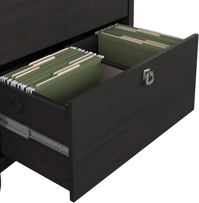 Bush Furniture Salinas 2 Drawer Lateral File Cabinet | Home Office Storage for Letter, Legal, and A4-size Documents, Vintage Black