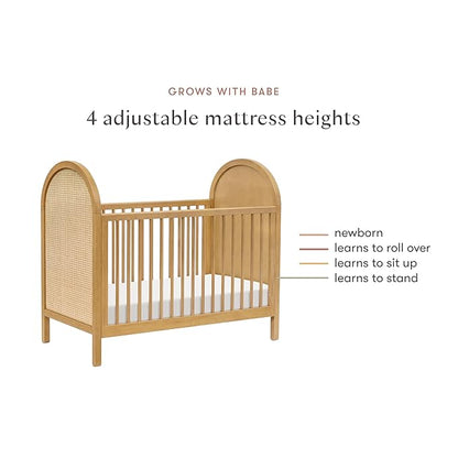 babyletto Bondi Cane 3-in-1 Convertible Crib with Toddler Bed Conversion Kit in Honey with Natural Cane, Greenguard Gold Certified