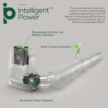 Greenworks 80V (180 MPH / 610 CFM / 75+ Compatible Tools) Cordless Brushless Backpack Blower, 5.0Ah Battery and Rapid Charger Included