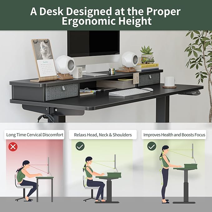 FEZIBO 40 x 24 Inch Height Adjustable Electric Standing Desk with Double Drawer, Stand Up Desk with Storage Shelf, Sit Stand Desk, Black
