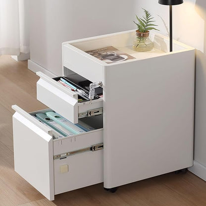 2 Drawer Mobile File Cabinet Top Storage Shelf, Rolling Metal Filing Cabinet for Legal & Letter File Anti-tilt Design with Lock Under Desk Office Drawers Fully Assembled Except Casters(Top ST W)