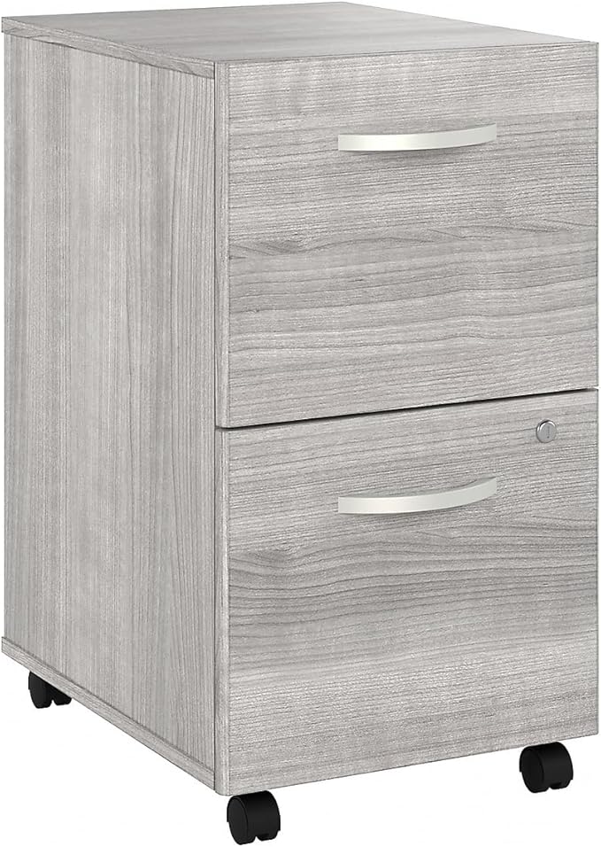 Bush Business Furniture HYF116PGSU-Z Hybrid 2-Drawer Mobile File Cabinet, Letter/Legal, Platinum Gray, 20-Inch,