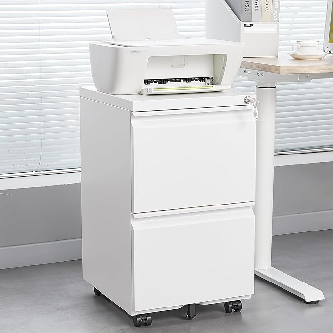 2 Drawer Mobile Lock and Casters,Pre-Assembled Metal Office Storage Filing Cabinets w/Anti-Dumping Fifth Round,for Letter/Legal/A4 Size,White