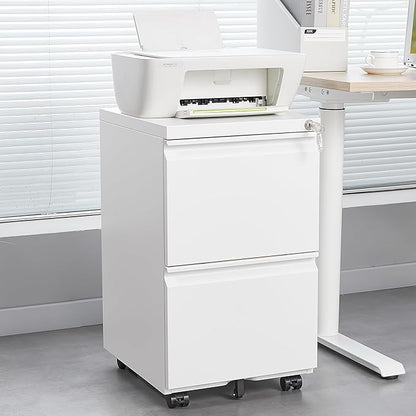 2 Drawer Mobile Lock and Casters,Pre-Assembled Metal Office Storage Filing Cabinets w/Anti-Dumping Fifth Round,for Letter/Legal/A4 Size,White