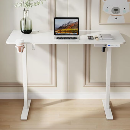63'' x 24'' Electric Height Adjustable Stand up Desk Home Office Ergonomic Computer Workstation