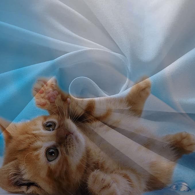 Cat Comforter Set Twin Size for Kids Blue Cat 3Pcs Bedding Set for boys and Girls (1Summer Comforter+ 2 Pillowcases) Lovely Animal Pets Duvet Set