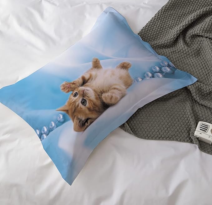 Cat Comforter Set Twin Size for Kids Blue Cat 3Pcs Bedding Set for boys and Girls (1Summer Comforter+ 2 Pillowcases) Lovely Animal Pets Duvet Set