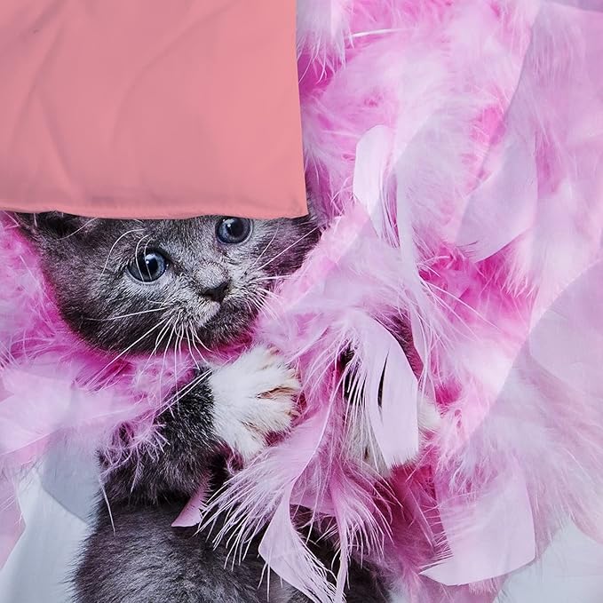 Cat Comforter Set Queen Size for Kids Pink Feathers Black Cat 3Pcs Bedding Set for boys and Girls (1Summer Comforter+ 2 Pillowcases) Lovely Animal Pets Duvet Set