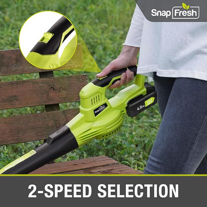 SnapFresh Leaf Blower, 20V Cordless Leaf Blower with 4.0Ah Battery & Fast Charger, 2 Speed Mode, Lightweight Electric Leaf Blower for Lawn Care, Leaf Blower for Patio Yard Sidewalk…