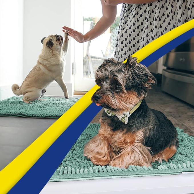 Muddy Mat® Shown ON TV Highly Absorbent Microfiber Door Mat and Pet Rug Non Slip Thick Washable Area and Bath Mat Soft Chenille for Kitchen Bedroom Indoor and Outdoor - Seafoam Green Small 28"X18"