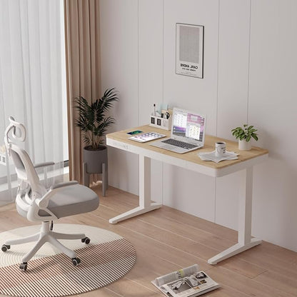 Standing Desk with Drawer and Wireless Charging,48x24 inch Dual Motor Standing Desk, Sit Stand Desk with Whole-Piece Desktop,Stand Up Desk for Home Office(White Oval Legs + Bamboo Top)