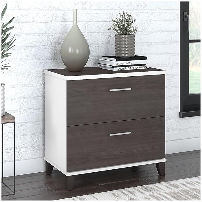 Bush Furniture Somerset 2 Drawer Lateral File Cabinet | Letter, Legal, and A4-size Document Storage for Home Office, 30W x 17D x 29H, White and Storm