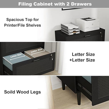 2 Drawer File Cabinet, Lateral File Cabinet with Lock, Rattan Wood Filing Organization Cabinet for Home Office, Black