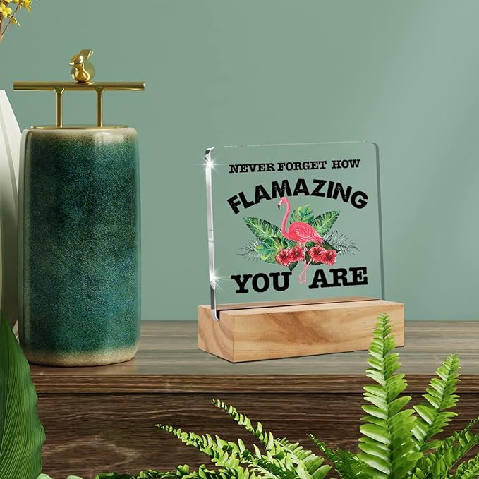 Motivational Flamingo Acrylic Desk Sign Decoration Plaque Never Forget How Flamazing You are Desk Sign Keepsake Home Office Room Desk Decor