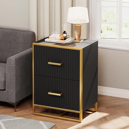 YITAHOME 2 Drawer File Cabinet, Lateral Filing Cabinet for Home Office, Black and Gold