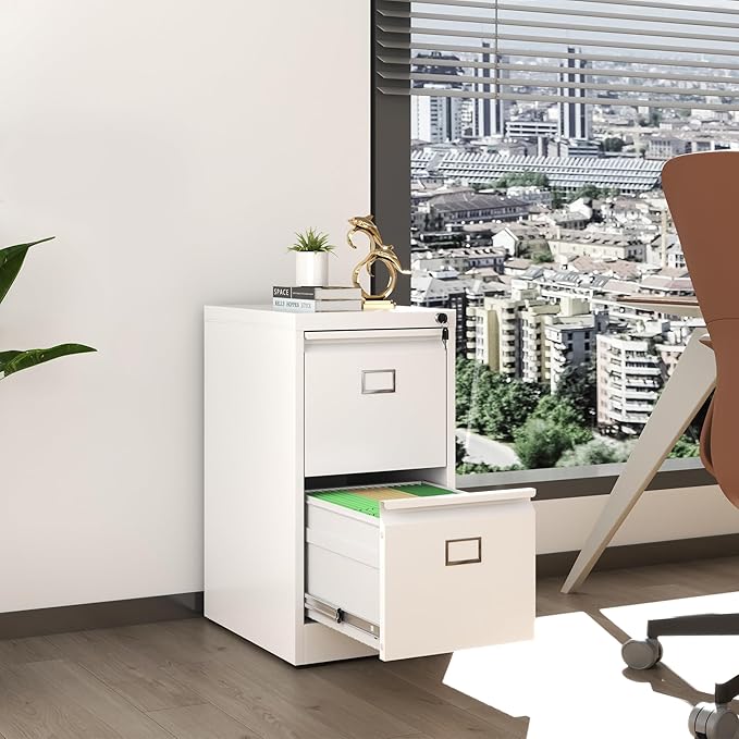 2 Drawer File Cabinet,Metal Vertical File Cabinets with Lock for Home Office,Heavy Duty Office Steel Filing Cabinet for Hanging Letters/Legal/A4, Assembly Required (White)