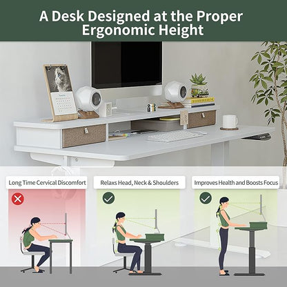 FEZIBO 60 x 24 Inch Height Adjustable Electric Standing Desk with Double Drawer, Stand Up Desk with Storage Shelf, Sit Stand Desk, White
