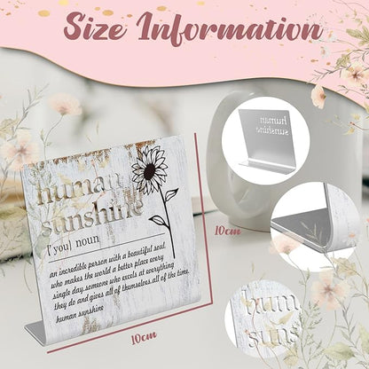 Human Sunshine Definition Desk Signs Funny Appreciation Gifts for Women Thank You Gift for Friends Teacher Coworker Doctor Nurse Gift for Mom Aunt Sister Sunshine Party Decorations XLK11