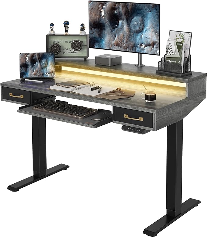 FEZIBO 48 x 24 Inch Height Adjustable Electric Standing Desk with Double Drawers&Keyboard Tray, Stand Up Desk with LED Strips, Sit Stand Desk with Monitor Stand, Rustic Grey