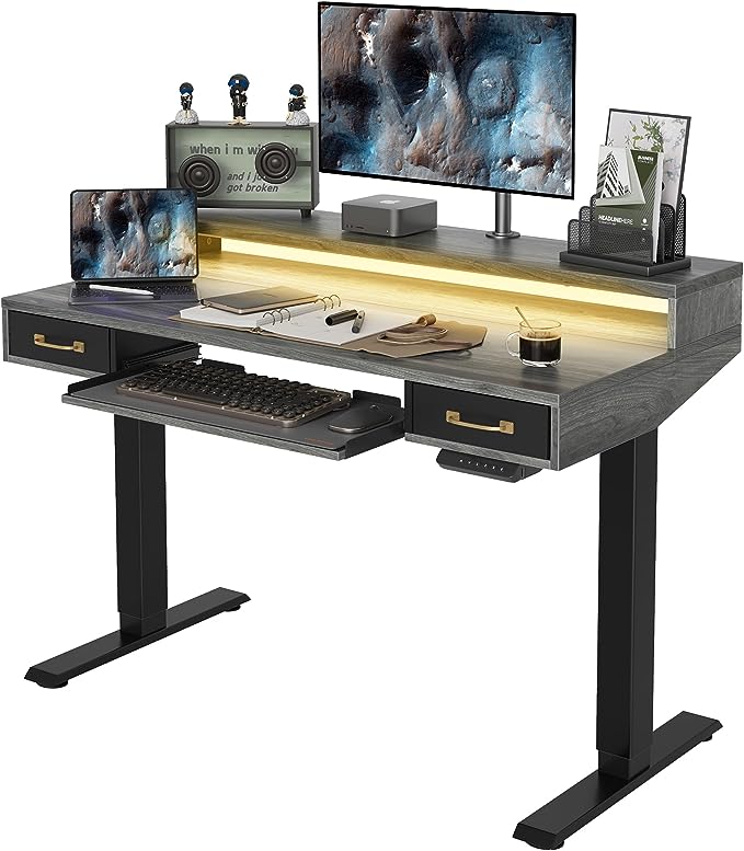 FEZIBO 48 x 24 Inch Height Adjustable Electric Standing Desk with Double Drawers&Keyboard Tray, Stand Up Desk with LED Strips, Sit Stand Desk with Monitor Stand, Rustic Grey