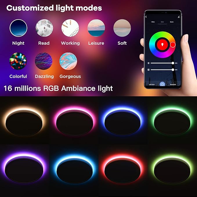TALOYA Smart Ceiling Light Flush Mount LED WiFi, Compatible with Alexa Google Home, Black Dimmable Low Profile Ambient Light Fixture for Bedroom Living Room,12 Inch 24W