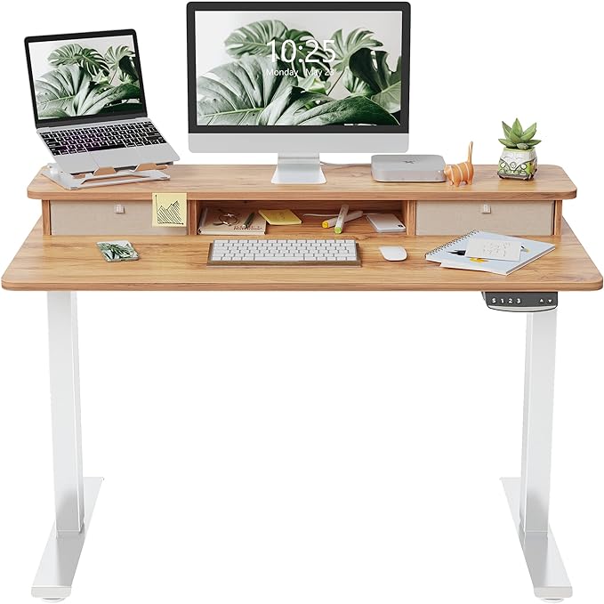 FEZIBO 48 x 24 Inch Height Adjustable Electric Standing Desk with Double Drawer, Stand Up Desk with Storage Shelf, Sit Stand Desk, Light Rustic
