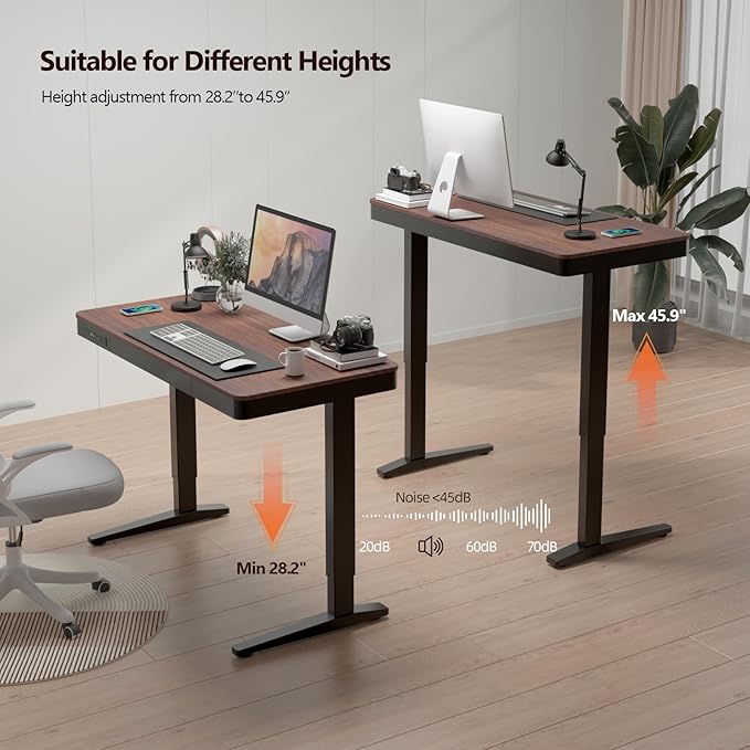 Standing Desk with Drawer and Wireless Charging,48x24 inch Dual Motor Electric Standing Desk,Stand Up Desk with Whole-Piece Desktop(Black Oval Legs+Rustic Brown Top)